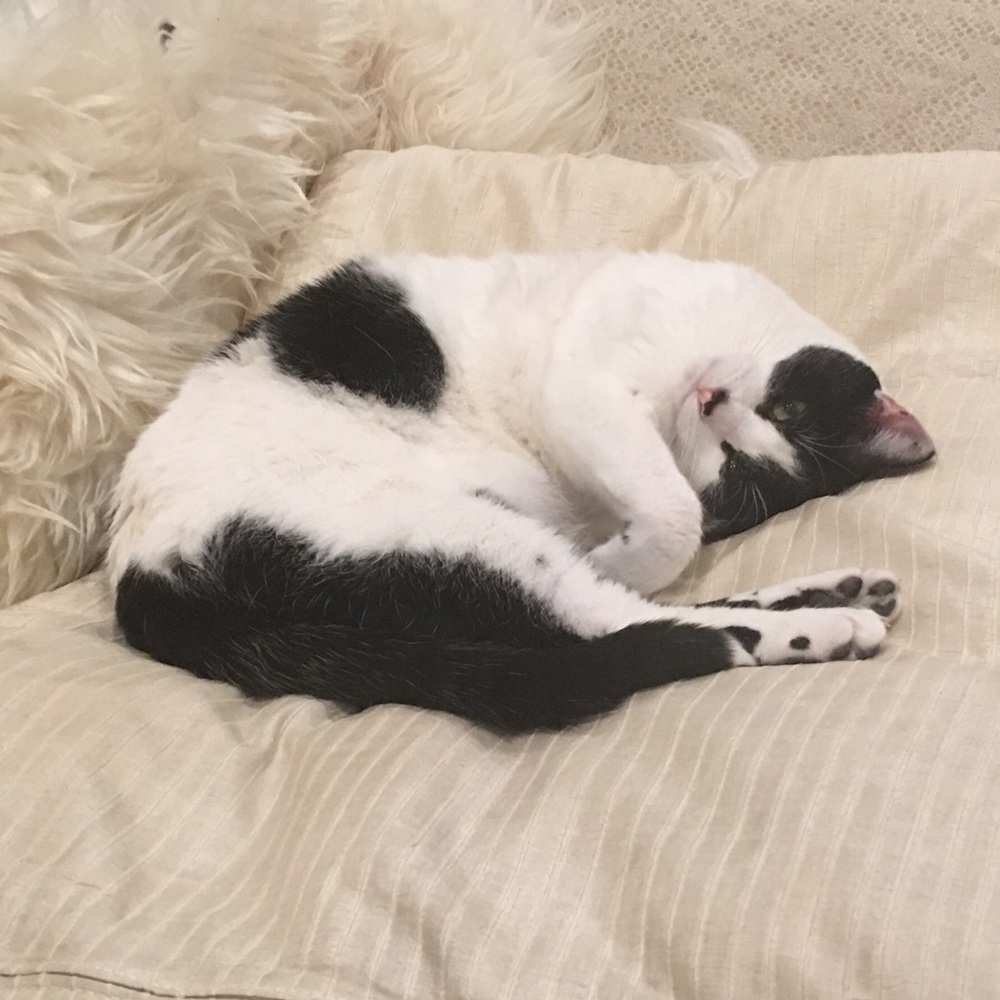 Meet your Posher, Nadya